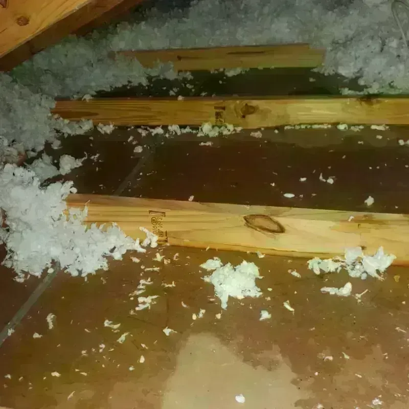 Attic Water Damage in Campbell, FL