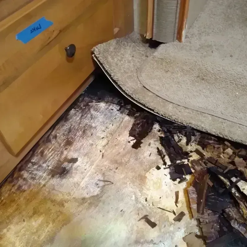 Wood Floor Water Damage in Campbell, FL